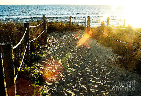 Path Poster featuring the photograph Sun Ray Beach Path by Janis Lee Colon