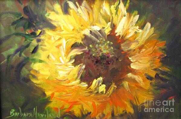 Flower Poster featuring the painting Sunflower by Barbara Haviland