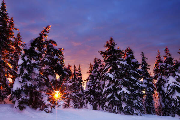 Winter Poster featuring the photograph Sunrise Dreams by Darren White