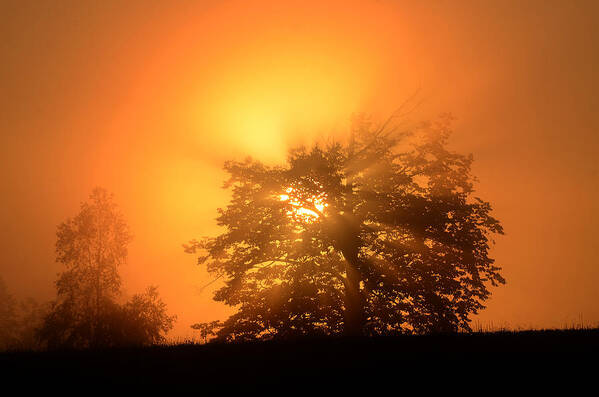 Sunrise Poster featuring the photograph Sunrise in Fog by Steve Somerville