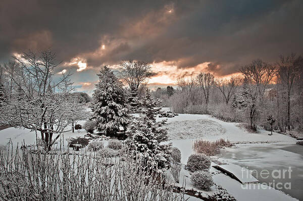 Landscape Poster featuring the photograph Sunrise over Pond by Gwen Gibson