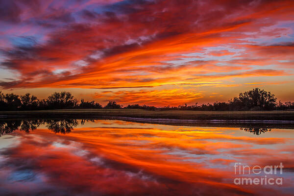 Sunset Poster featuring the photograph Sunrise Reflections by Robert Bales