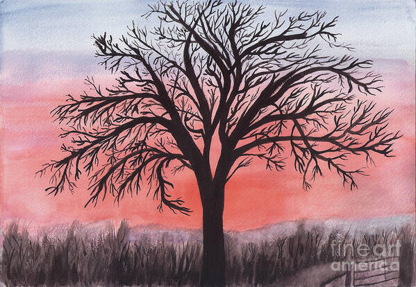 Sunrise Poster featuring the painting November Sunrise Walnut Tree Watercolor by Conni Schaftenaar