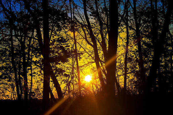 Sunrise Poster featuring the photograph Sunrise with blue - horizontal by Kathleen McGinley