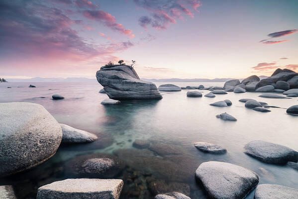Bonsai Tree Poster featuring the photograph Sunset At Bonsai Rock, Lake Tahoe by Conor Barry