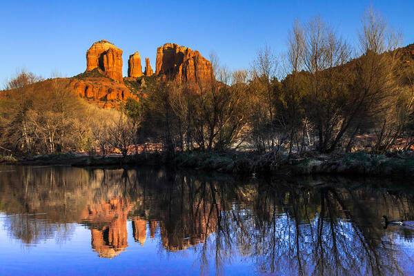 Arizona Poster featuring the photograph Sunset at Red Rocks Crossing in Sedona AZ by Teri Virbickis