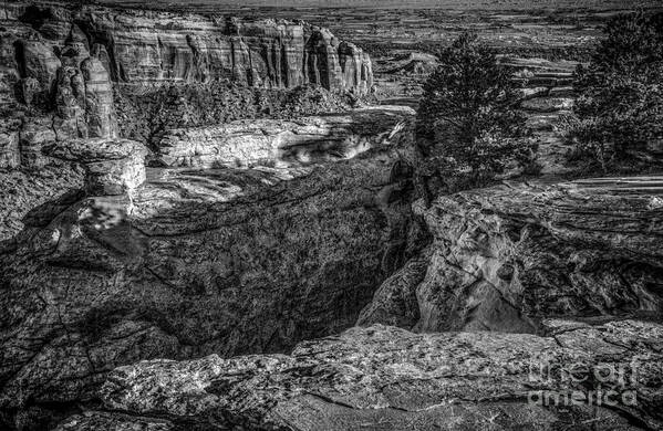 Colorado National Monument Poster featuring the photograph Sunset Colo Nat Mon by David Waldrop