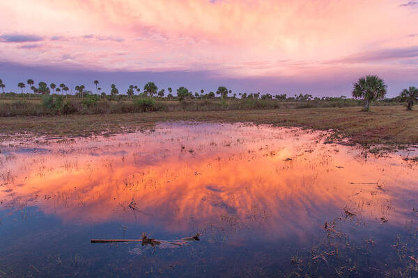 Sun Poster featuring the photograph Everglades Afterglow by Doug McPherson