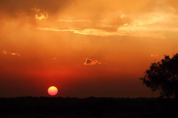 Sunset Poster featuring the photograph Sunset in West Texas by Elizabeth Budd