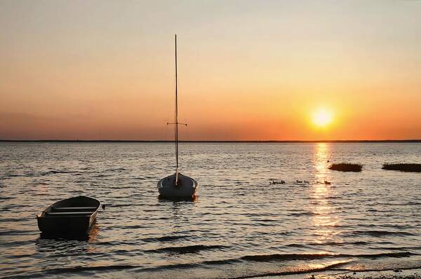 Seascape Poster featuring the photograph Sunset on LBI by Diana Angstadt