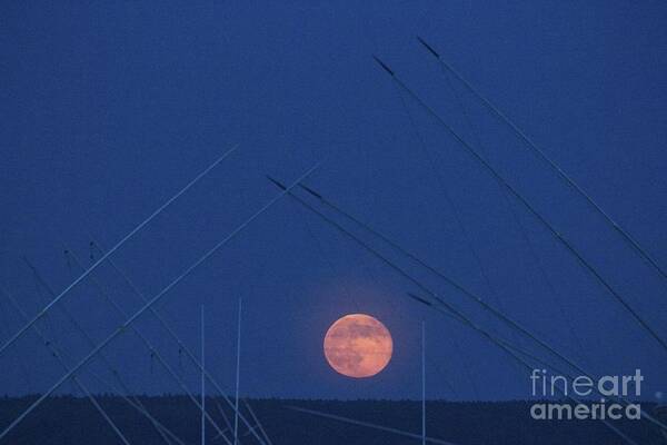 Super Moon Poster featuring the photograph Super Moon and Masts by Amazing Jules