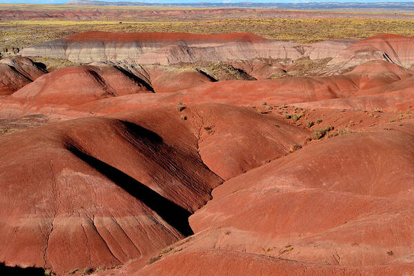 Landscape Poster featuring the photograph Surreal Red Landscape by Nadalyn Larsen