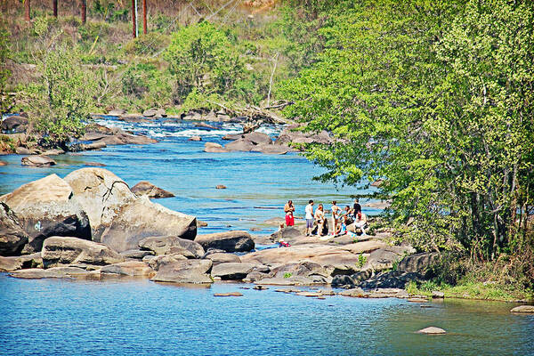 Water Poster featuring the photograph Swimming in the Saluda by Linda Brown