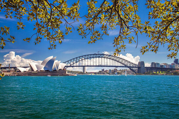 Sydney Poster featuring the photograph Sydney Harbour Skyline 2 by Az Jackson