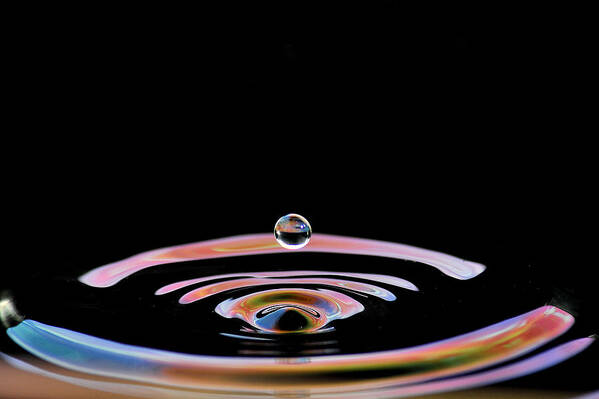 Water Drops Poster featuring the photograph Synchronicity by Gene Tatroe