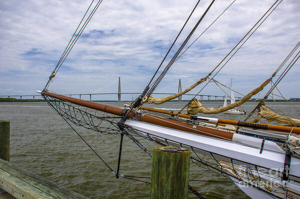 Tall Ships Poster featuring the photograph Spirit of South Carolina Dreaming by Dale Powell