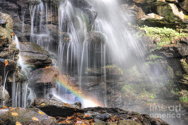 Ricketts Glen State Park Poster featuring the photograph Taste the Rainbow by Rick Kuperberg Sr