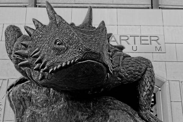 Tcu Poster featuring the photograph TCU Horned Frog Black and White by Jonathan Davison
