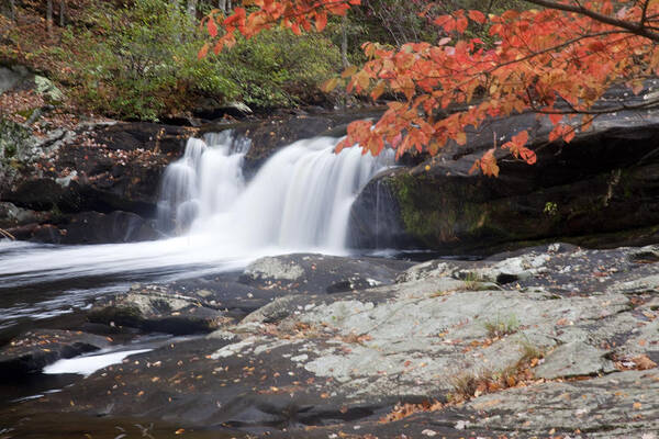 Fall Foliage Poster featuring the photograph Telico River Waterfall by Robert Camp