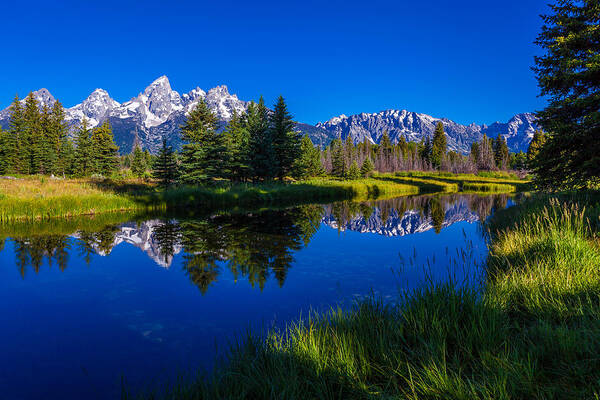 Teton Reflection Poster featuring the photograph Teton Reflection by Chad Dutson