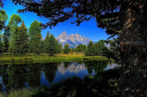 Grand Teton National Park Poster featuring the photograph Teton Reflection by Yeates Photography