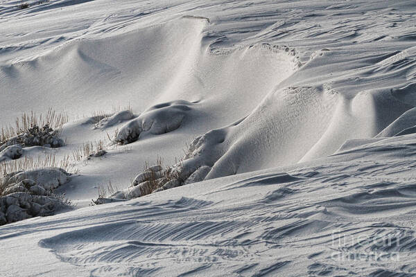 Snow Poster featuring the photograph Textures of Snow by Edward R Wisell