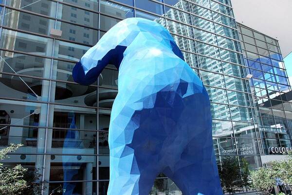 Denver Poster featuring the photograph The Blue Bear #1 by Dany Lison