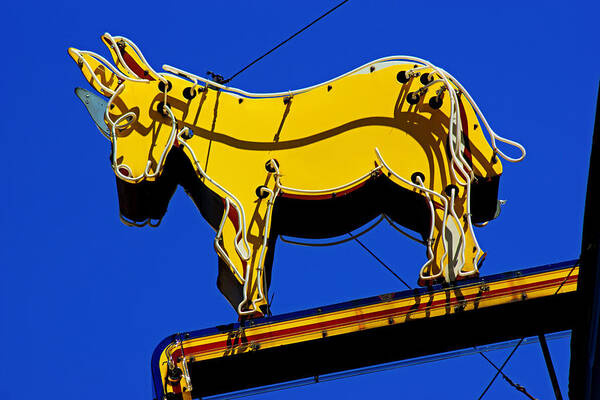 Golden Burro Poster featuring the photograph The Brass Ass by Daniel Woodrum