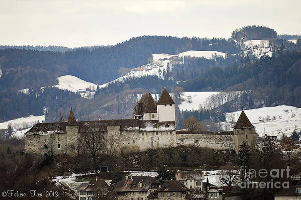 Fortress Poster featuring the photograph The Castle in winter look by Felicia Tica