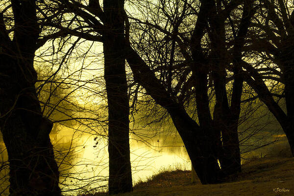 Winter Poster featuring the photograph The Coming Cold by Kathy Besthorn