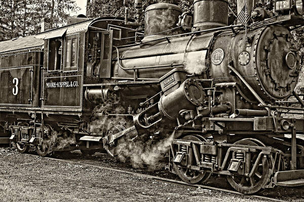 Pocahontas County Poster featuring the photograph The Durbin Rocket 2 sepia by Steve Harrington