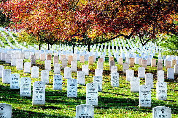 Arlington Cemetery Poster featuring the photograph The Fall by Greg Fortier