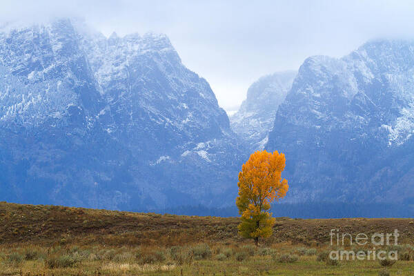 Tetons Poster featuring the photograph The Gate Keeper by Jim Garrison