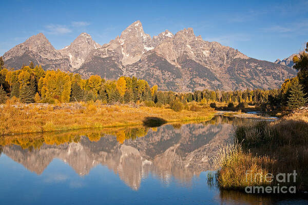 Grand Teton Np Poster featuring the photograph The Grand Tetons at Schwabacher Landing Grand Teton National Park by Fred Stearns