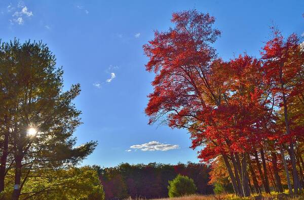 Fall Poster featuring the photograph The Great Outdoors by Thomas MacPherson Jr