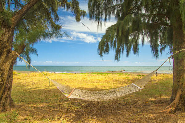 Hammock Poster featuring the photograph The Hammock and The Beach by Roger Mullenhour