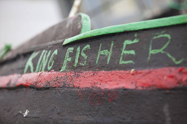 Galway Poster featuring the photograph The King Fisher by Laura Tucker