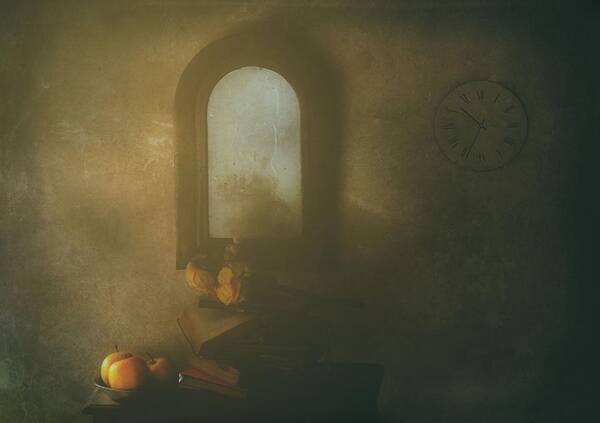 Still Life Poster featuring the photograph The Living Room by Delphine Devos