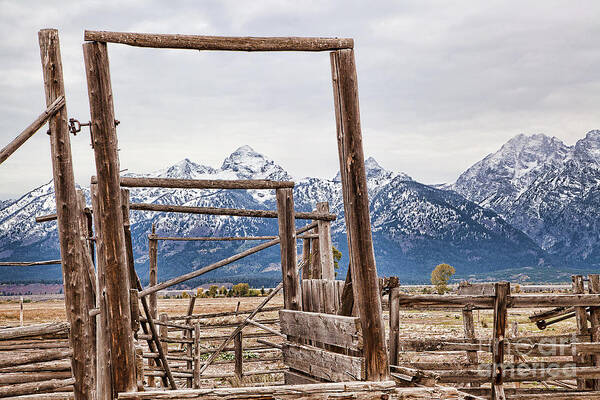 Teton National Park Print Poster featuring the photograph The Loading Gate by Jim Garrison