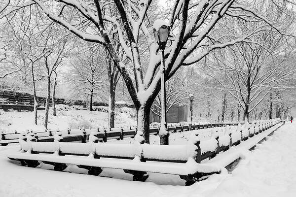 Central Park Poster featuring the photograph The Mall At NYC Central Park by Susan Candelario