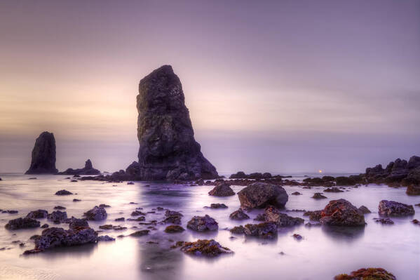 Haystack Rock Poster featuring the photograph The Needles by Joseph Bowman