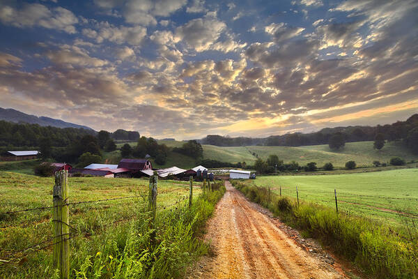 Appalachia Poster featuring the photograph The Old Farm Lane by Debra and Dave Vanderlaan