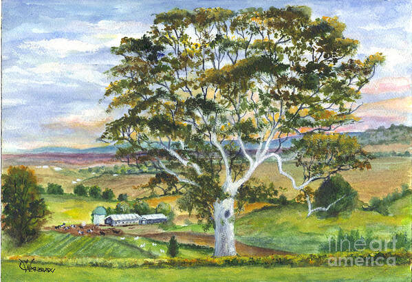 Gum Tree Poster featuring the painting The Old Gum Tree in Oz by Carol Wisniewski