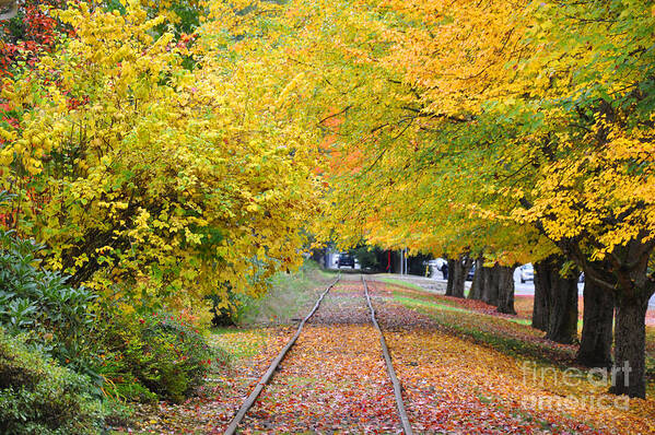 Autumn Poster featuring the painting The Tracks by Kirt Tisdale