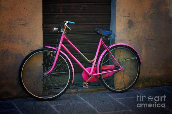 Bicycle Poster featuring the photograph The Pink Bicycle by Nicola Fiscarelli