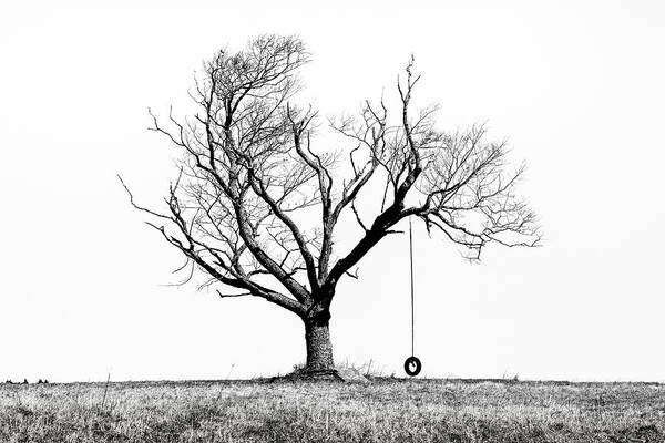 Tree Poster featuring the photograph The Playmate - Old Tree And Tire Swing On An Open Field by Gary Heller