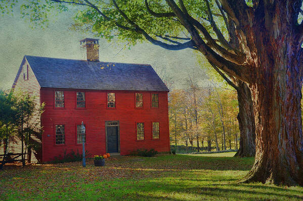House Poster featuring the photograph The Red House by Barbara Manis