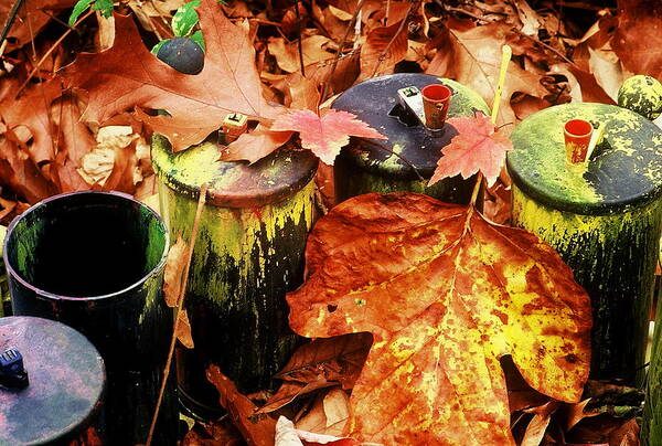 Fine Art Poster featuring the photograph The Secret Of Fall by Rodney Lee Williams