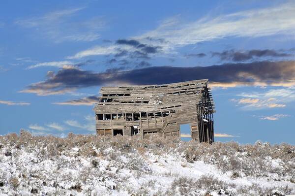 Idaho Poster featuring the photograph The Shack by Image Takers Photography LLC - Laura Morgan