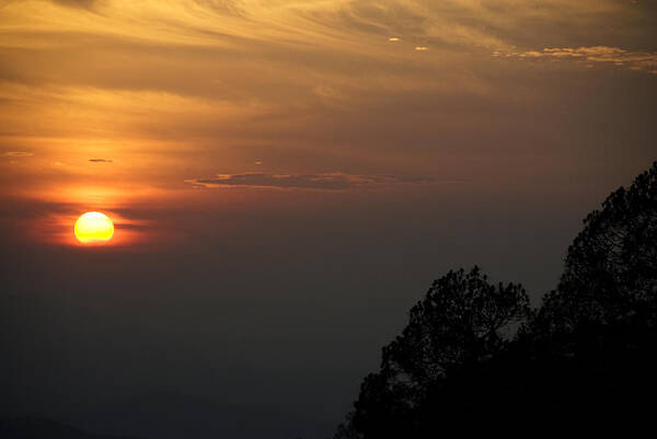 Landscape Poster featuring the photograph The Sun Behind The Trees by Rajiv Chopra